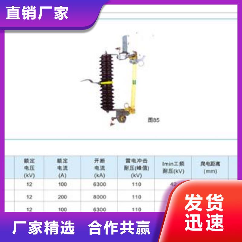 XRNP1-40.5/0.5A高壓限流熔斷器