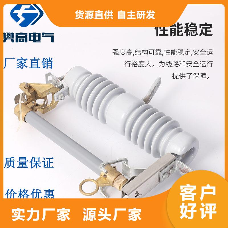 XRNT1-40.5/50A高壓限流熔斷器