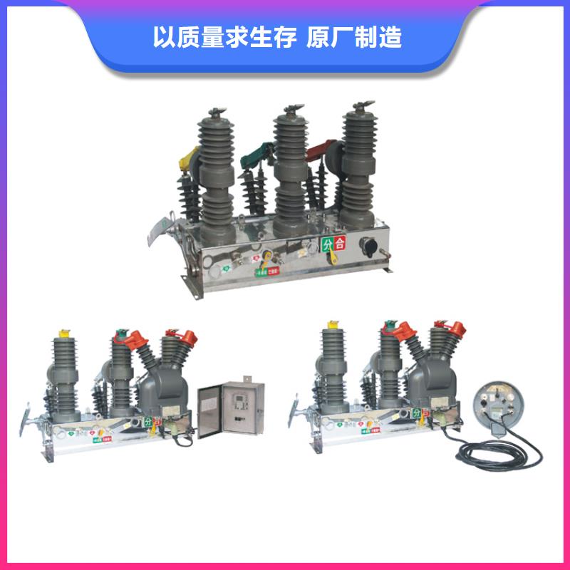 ZW20-12G/T630-12.5真空斷路器三沙市