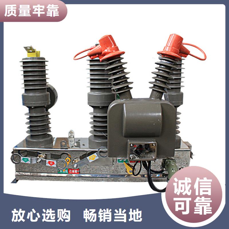 VS1-12/3150-31.5手車式戶內(nèi)真空斷路器廠家