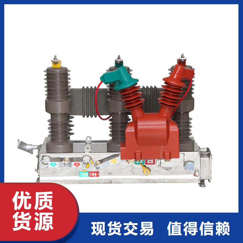 ZW7-35/1250-31.5智能型真空斷路器樊高