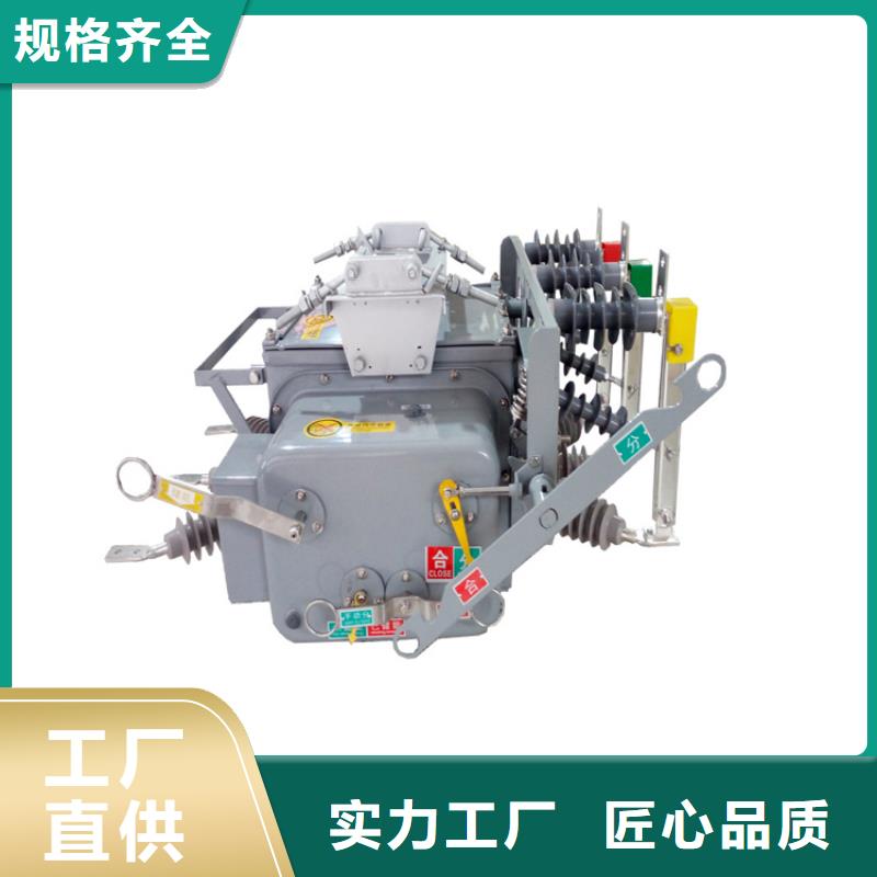 LW8-40.5/1250-25鐵殼常規(guī)六氟化硫斷路器