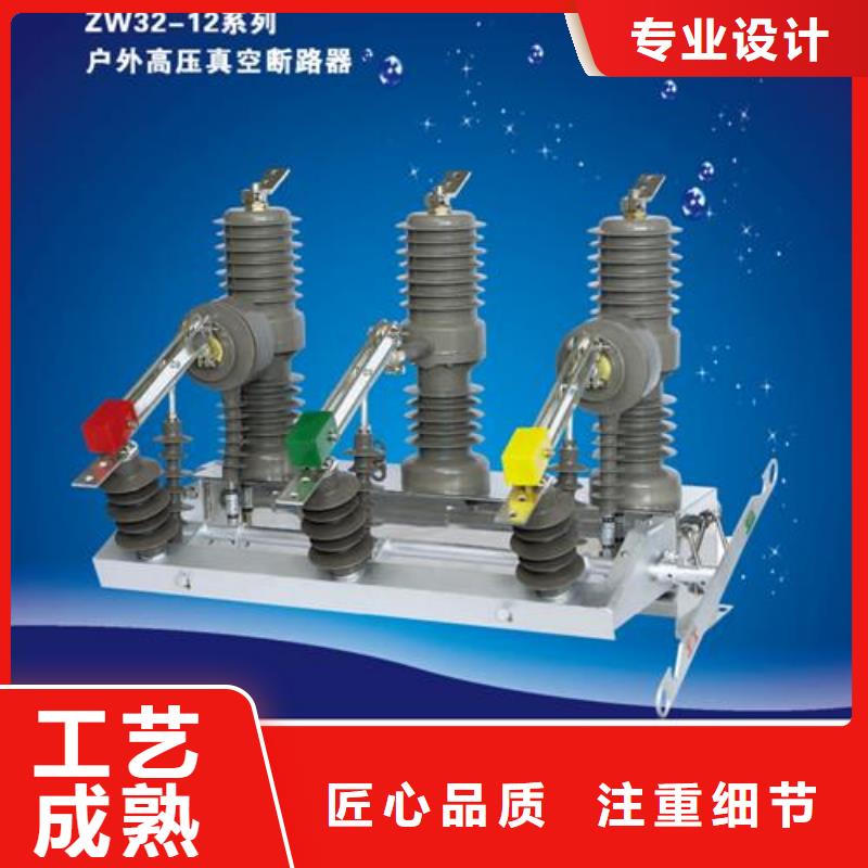 ZW32-24G/T630-12.5戶外真空斷路器