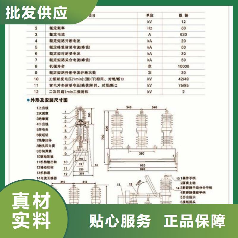 ZN28A-12/1000-25戶內真空斷路器廠家