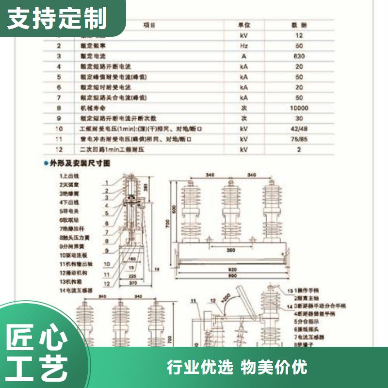 ZW32-24G/T630-12.5戶外真空斷路器