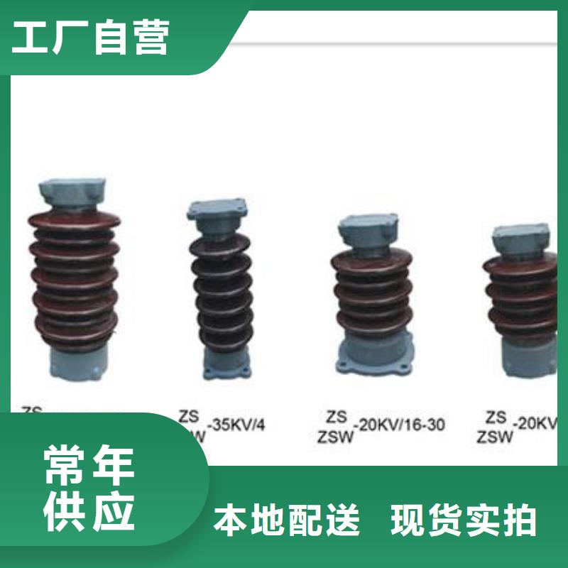 ZSW-110/17高壓支柱絕緣子