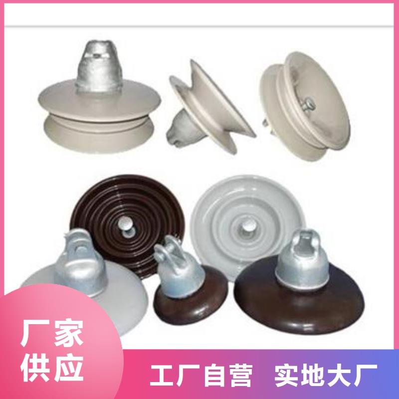 ZL-24/16陶瓷絕緣子樊高電氣