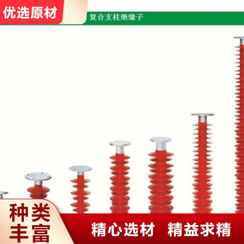 絕緣子高低壓電器廠家品質有保障