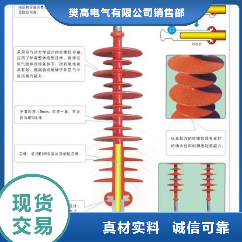 FXBW4-110/100复合绝缘子