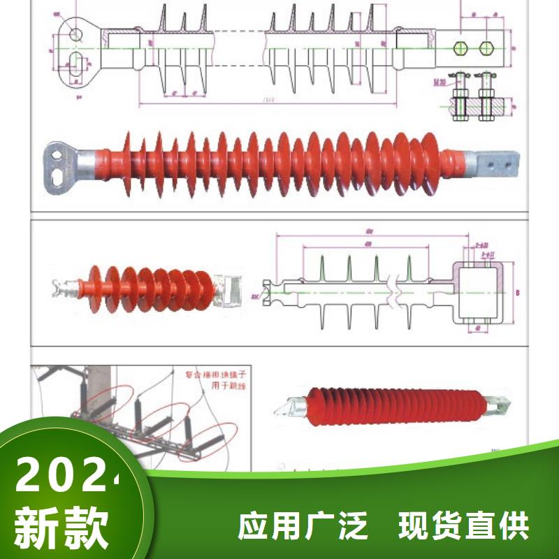 FXBW3-500/100棒型絕緣子