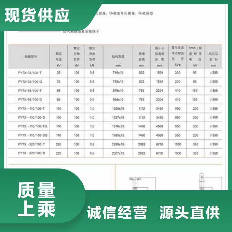 ZSW-363/4绝缘子