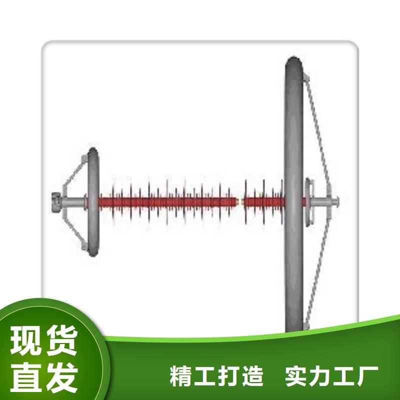 FZSW4-72.5/10復(fù)合高壓絕緣子