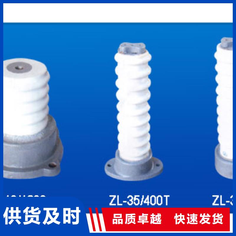 ZJ-10KV/100*140環(huán)氧樹脂絕緣子