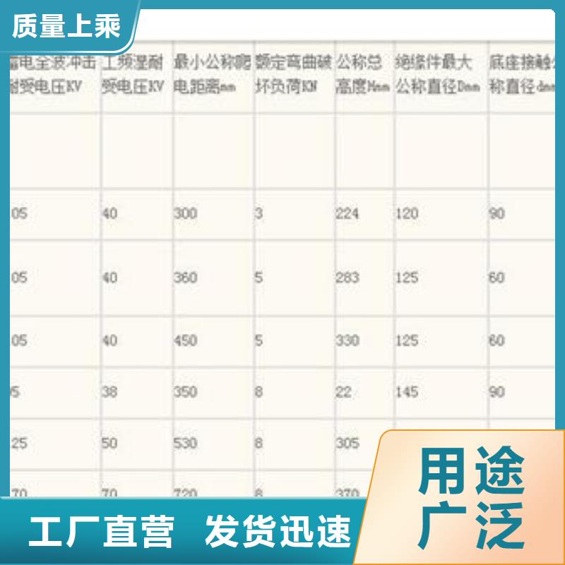 針式絕緣子FPQ4-10/3T16價格