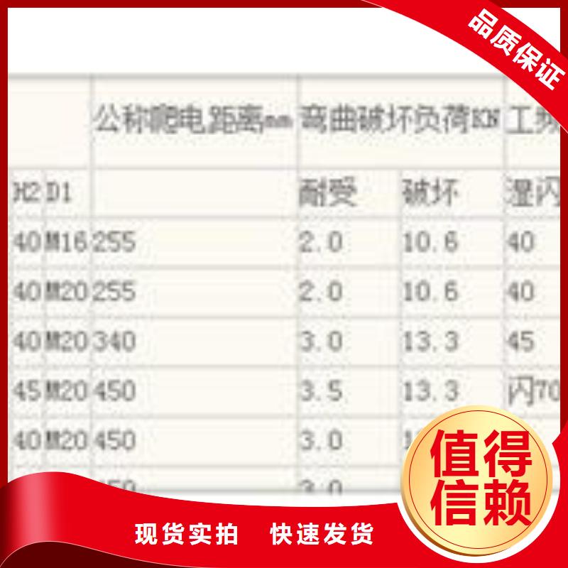 ZSW1-72.5/4-2高压陶瓷绝缘子