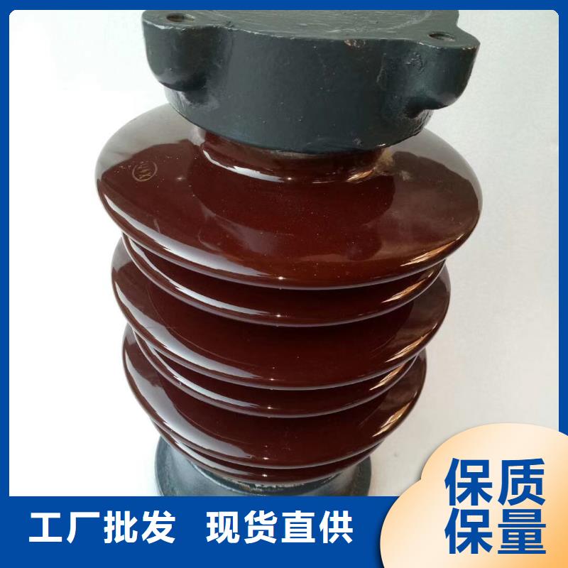FZSW3-110/16復(fù)合絕緣子