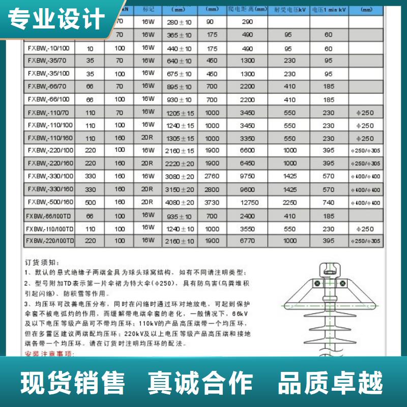 FXBW4-10/100絕緣子樊高