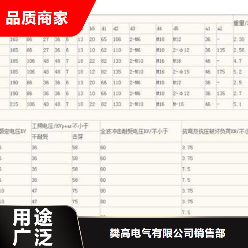 ZJ-10Q/70*130環(huán)氧樹脂絕緣子