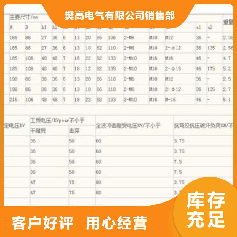 ZS-40.5/4陶瓷絕緣子樊高電氣