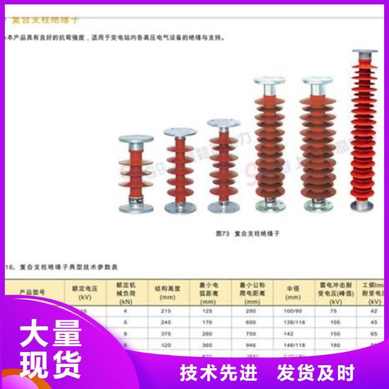 ZSW-110/17陶瓷支柱绝缘子