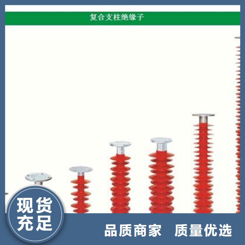 FYTX-220/100防風(fēng)偏絕緣子價格