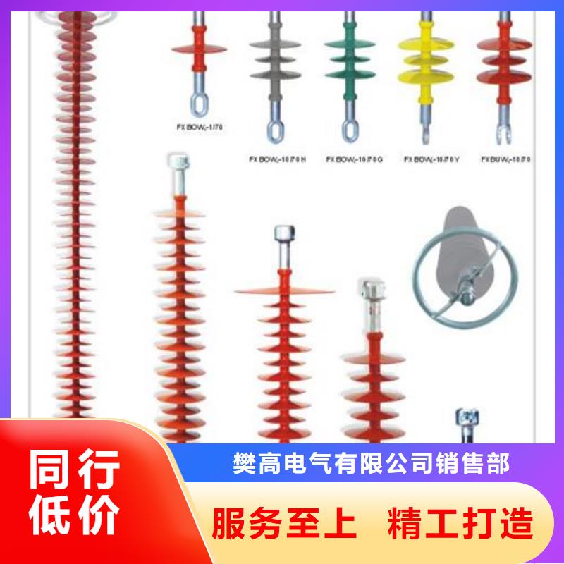 ZJ-10KV/100*140環(huán)氧樹脂絕緣子