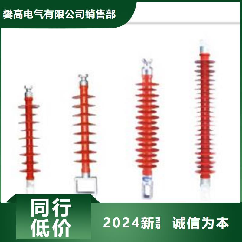 FZSW3-110/16复合绝缘子