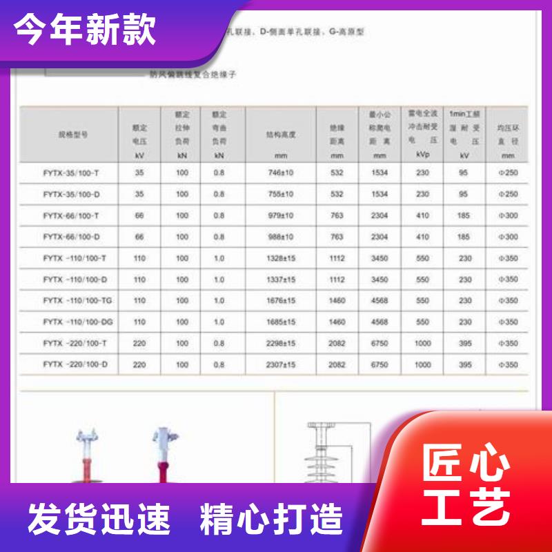 絕緣子氧化鋅避雷器批發(fā)交貨準(zhǔn)時(shí)