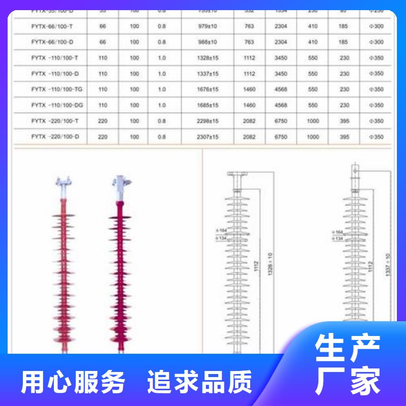 FYTX-35/100-D高壓防風偏絕緣子多重