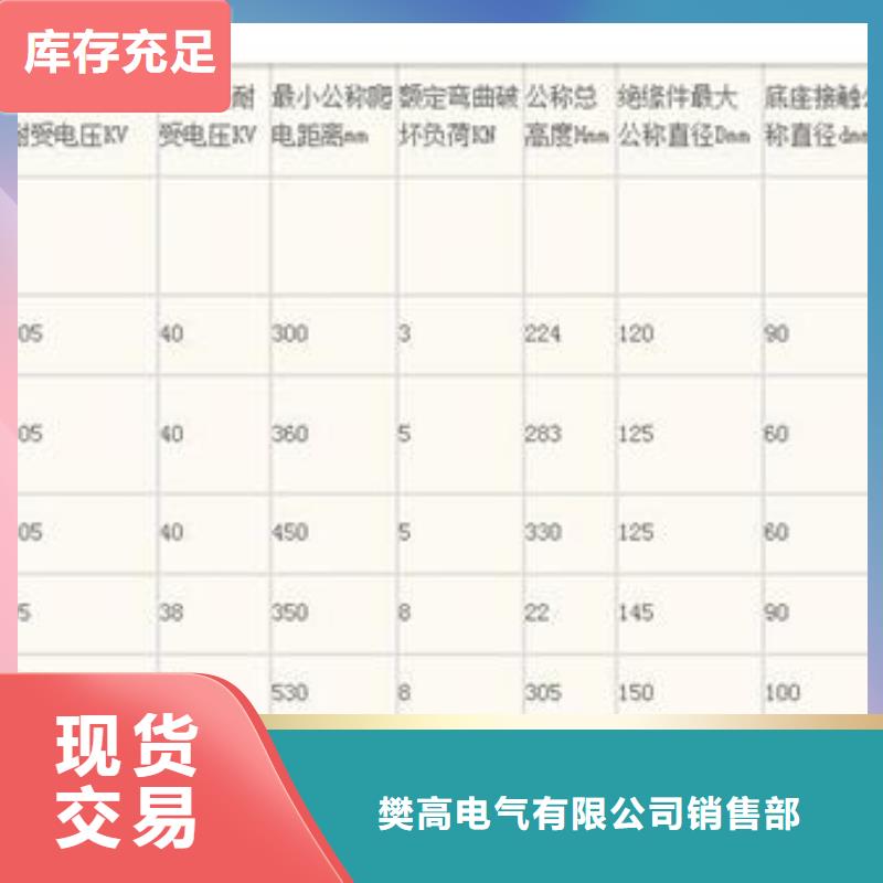 FXBW4-10/100絕緣子樊高