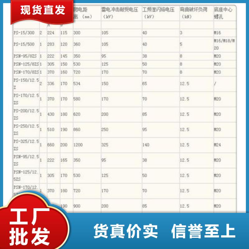 ZS-110/17高壓絕緣子說明