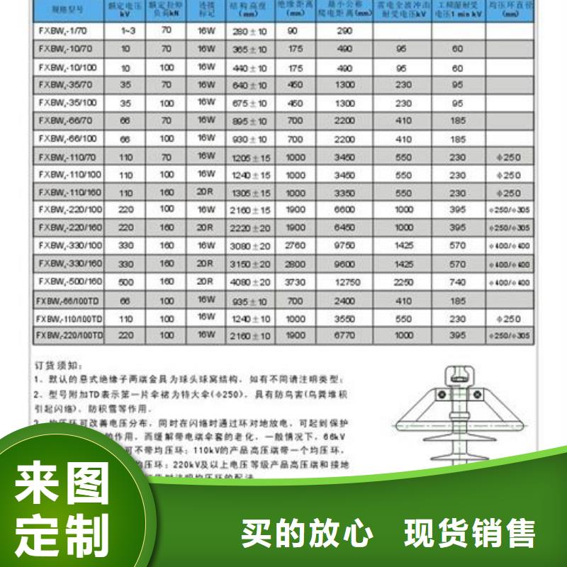 FZSW3-110/16复合绝缘子