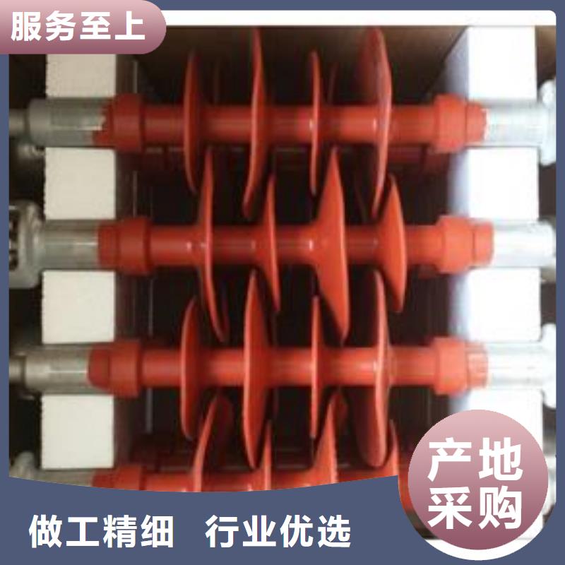 ZS-110/17高壓絕緣子說明