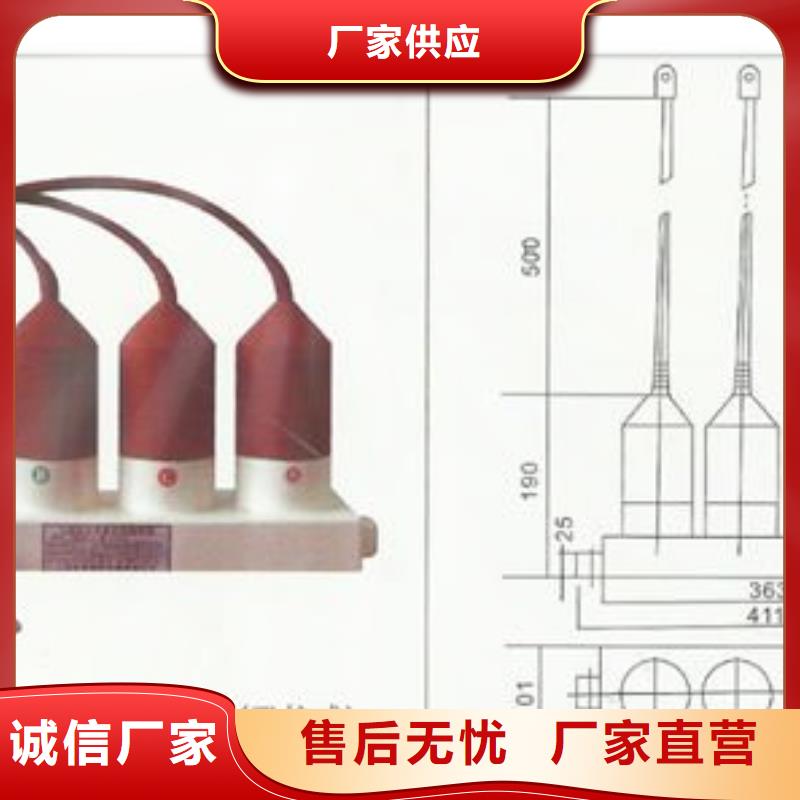 TBP-B-7.6F/85三相組合式避雷器
