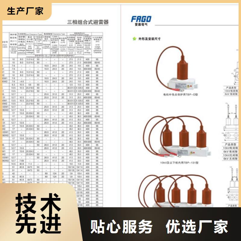 TBP-C-12.7/131过电压保护器樊高电气