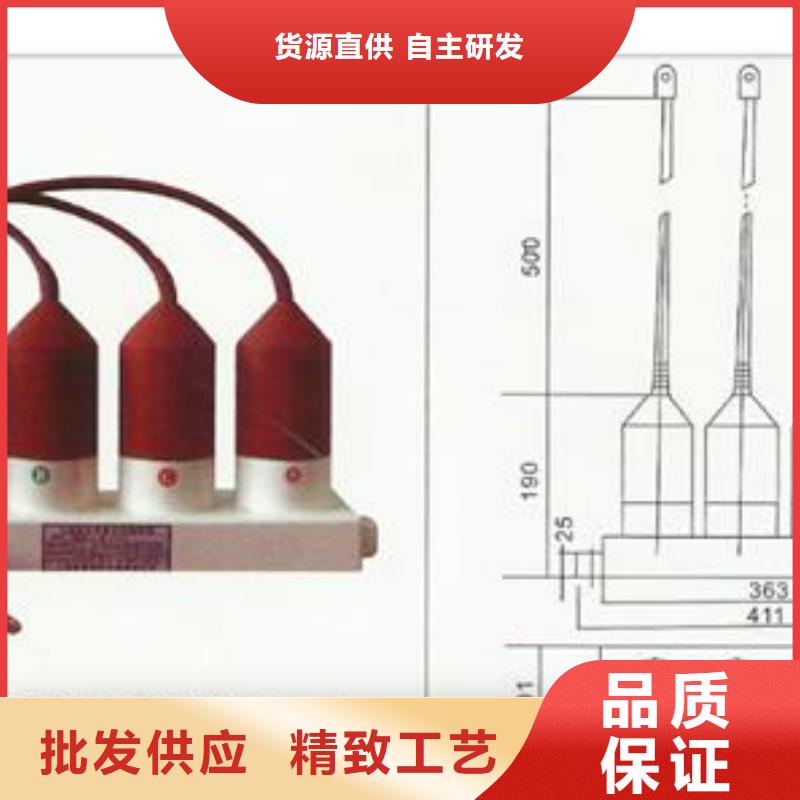 TBP-B-10過電壓保護器價格優惠