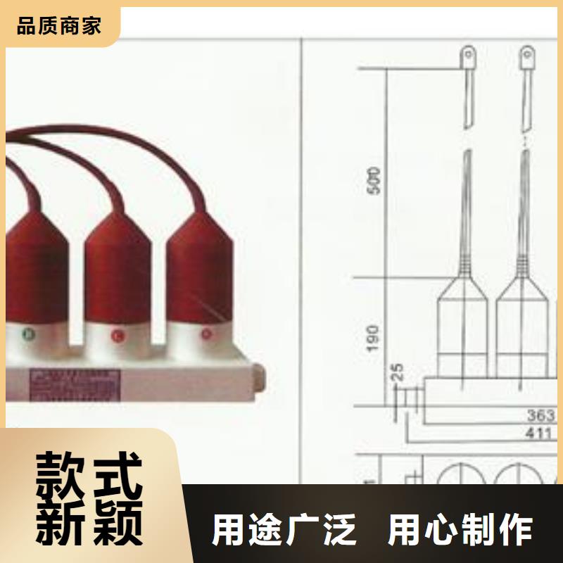 過電壓保護器,【真空斷路器】好產品好服務