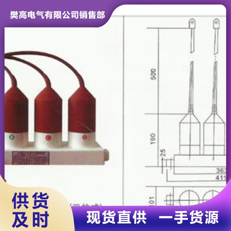 過電壓保護器TBP-C-42F/310保質期