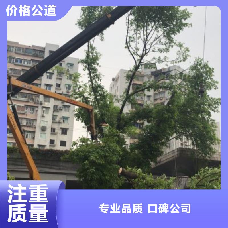 云梯车出租视频-太康|沈丘|开封|濮阳|商丘|驻马店|平顶山|信阳|洛阳云梯车出租明码标价-叶工机械设备租赁(周口市分公司)