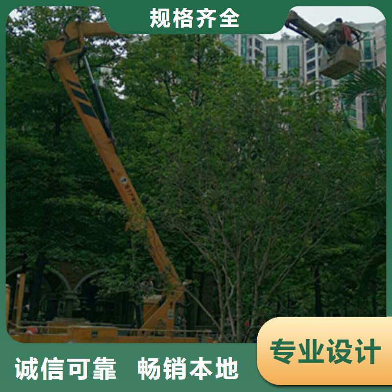 高空作業(yè)車租賃工藝精細(xì)質(zhì)保長久