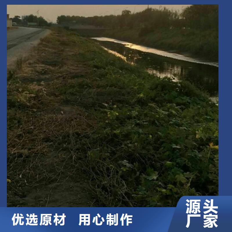 污泥處理土壤固化劑N年大品牌
