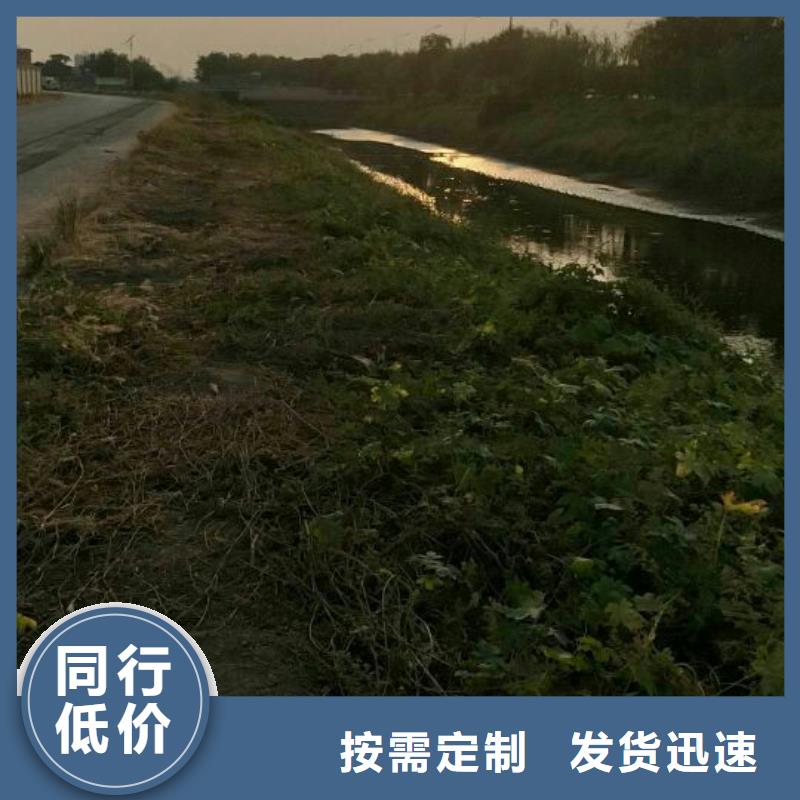 四川污泥改性固化劑礦山載重道路固化土預算