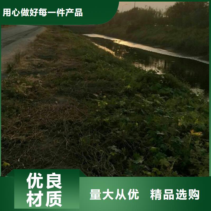 污泥處理鉆井廢泥漿固化劑專業生產團隊