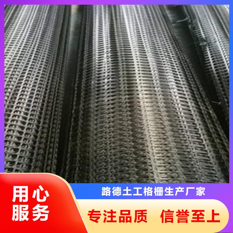 雙向塑料格柵鋼塑土工格柵定金鎖價