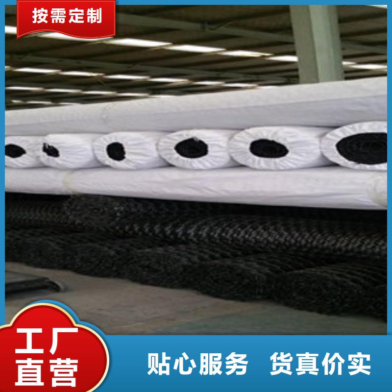 雙向塑料格柵_塑料土工格柵源廠定制