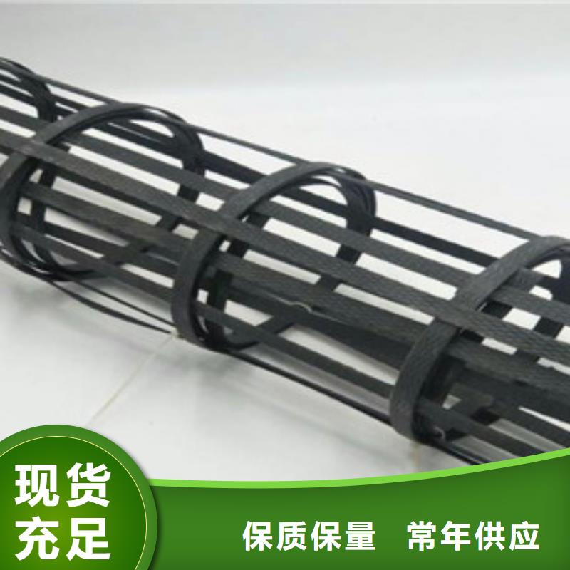 鋼塑土工格柵-三維植被網源頭廠家供應