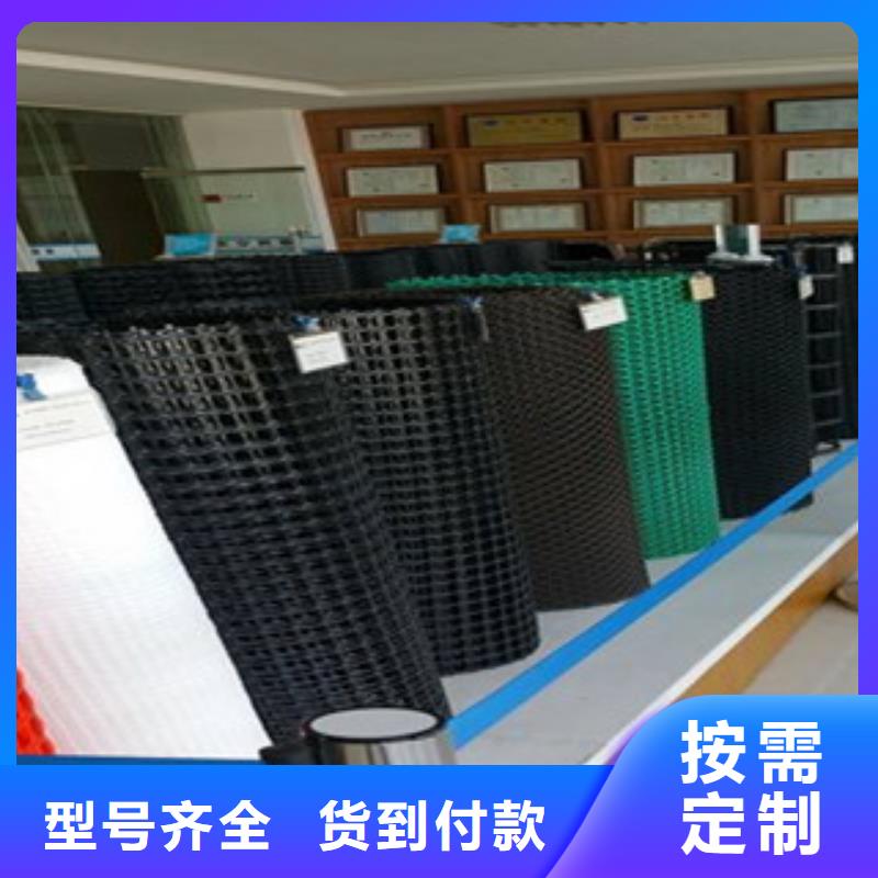 鋼塑土工格柵塑料土工格柵滿足您多種采購需求