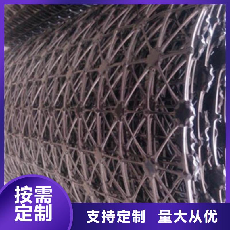 鋼塑土工格柵塑料土工格柵滿足您多種采購需求