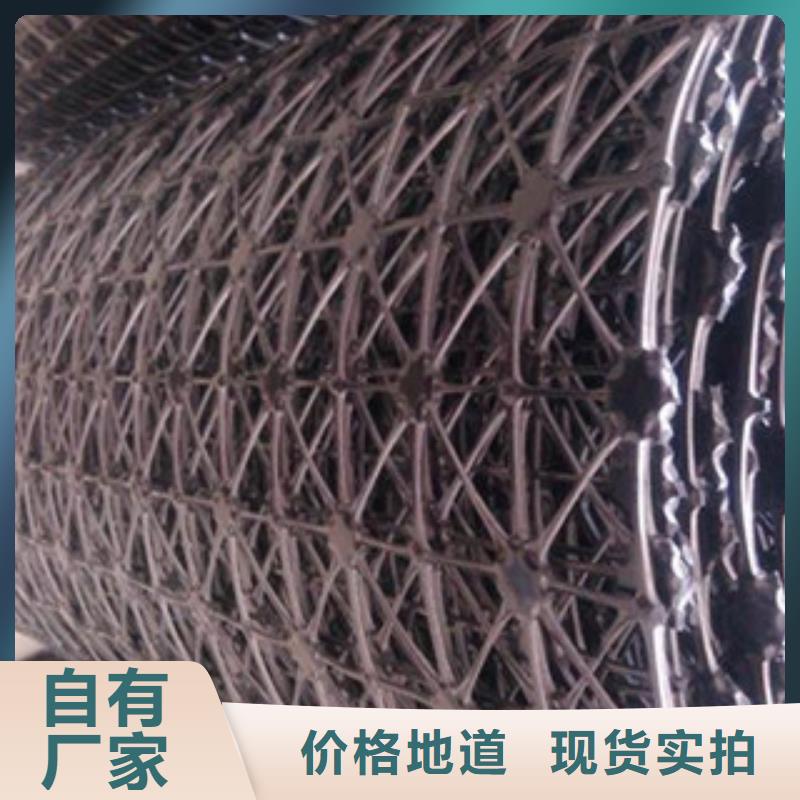【鋼塑土工格柵_玻纖土工格柵應用領域】