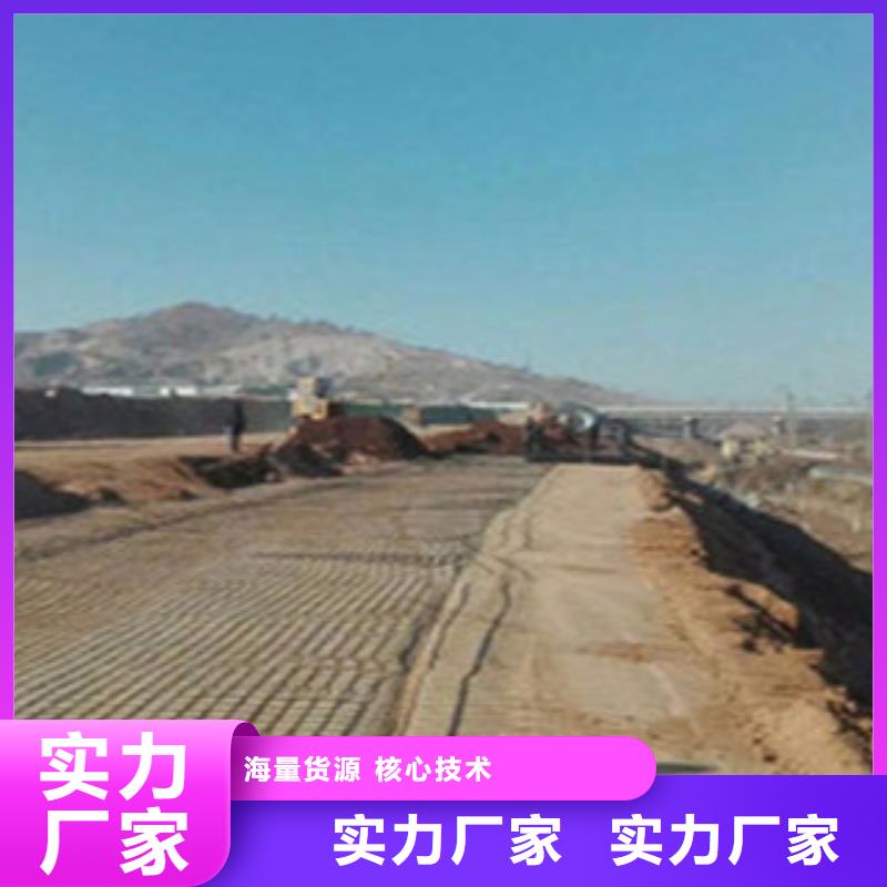 钢塑土工格栅塑料排水板好品质经得住考验